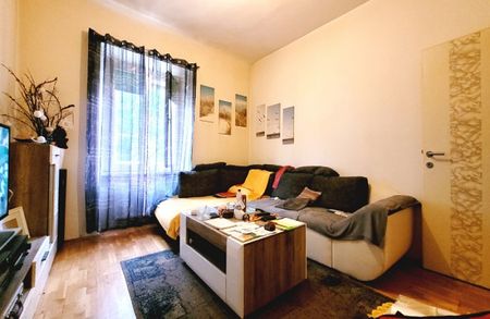 Graz-Zentrum: WG-taugliche Wohnung mit einzigartigen Details! - Foto 3