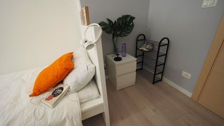 Corso Massimo dAzeglio, Turin, Piedmont 10126 - Photo 2