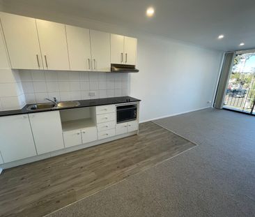 29/35 Alison, Kensington NSW 2033 - Studio For Rent | Domain - Photo 1