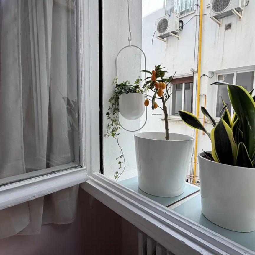 Room in a shared 6-bedroom apartment for rent in Gaztambide, only females - Foto 1