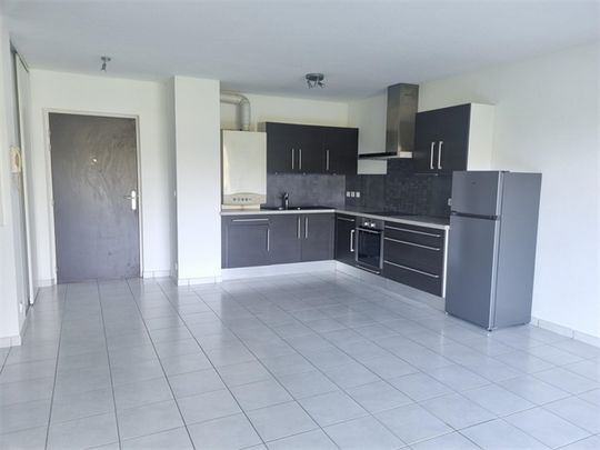 Location Appartement 49.8 M² ILLFURTH 755 € - Photo 1