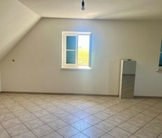 Lichtdurchflutete Wohnung mit Gartennutzung - Photo 1