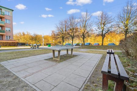 MIESZKANIE na WYNAJEM - Photo 4