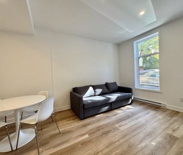 1221 Rue Marie-Anne apartment — Montréal, QC (1-Bedroom) - 1 Bedroom - Photo 6