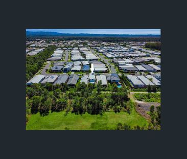 Charming Family Home with Scenic Bushland Views - Modern, Low-Maint... - Photo 2