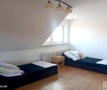 Mieszkanie do wynajęcia, Płock, os.Wyszogrodzka - Фото 1