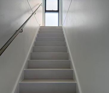 65A Prairie Vale Road, Mount Lewis NSW 2190 - Studio For Rent | Domain - Photo 4