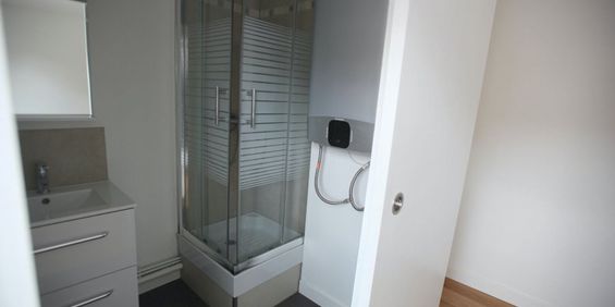 Appartement 2 pièces à Lille - Photo 3