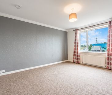 Alexander Avenue - Photo 2