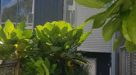 A MUST see Townhouse - Photo 5