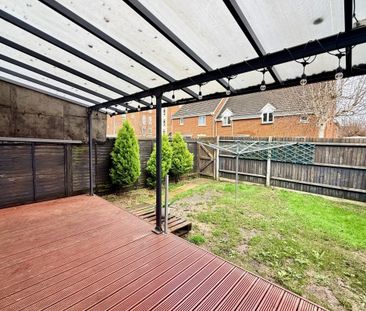 Little Hackets - Photo 4