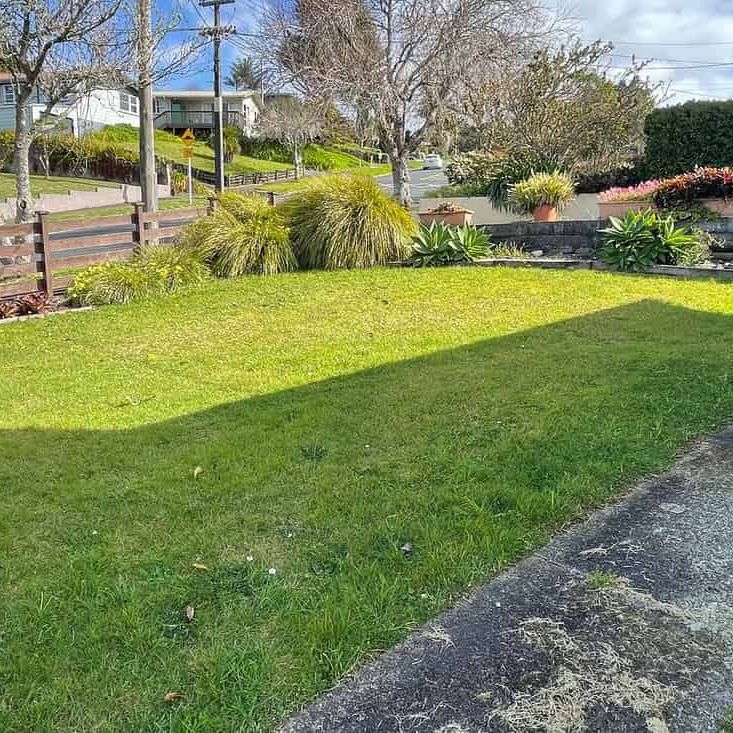 Sunny tidy 3 bedroom . Spacious deck and backyard - Photo 1