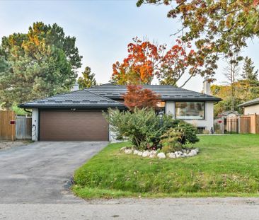 For Lease - 130 Princess Anne Crescent Unit# Bsmt, Toronto, Ontario - Photo 6