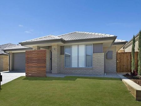 Mango Hill - Photo 4