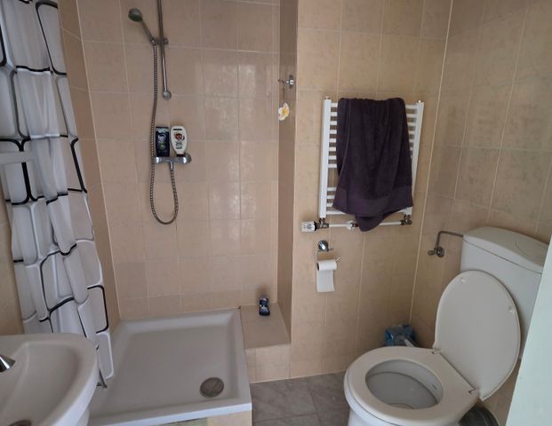 Te huur een leuk 1 kamer appartement voor 2 studenten op een goede locatie in Utrecht - Foto 1