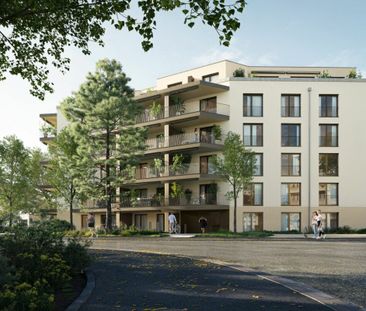 Erstvermietung 1.5 Zimmer-Wohnung Attika Altwiesenstrasse 372 - Photo 4
