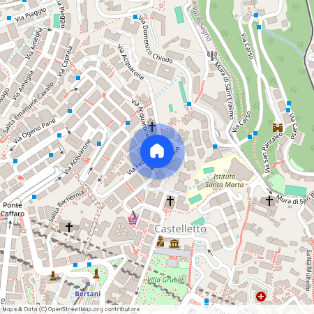 Via Federico Delpino, Genova