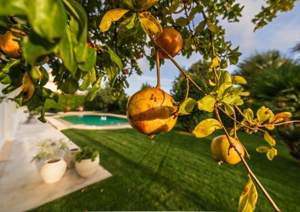 MORADIA DE LUXO T5 +1 NA PENHA LONGA RESORT - SINTRA