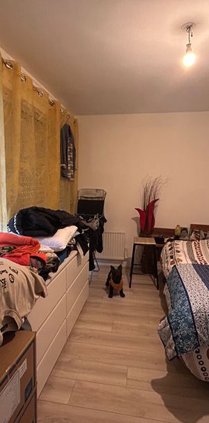 Location Appartement 2 pièces 41m² - Photo 1