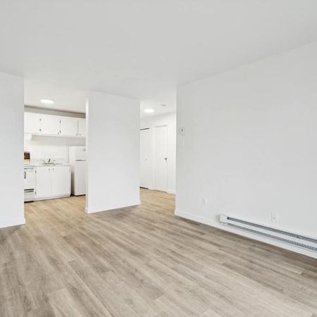 🏡 BAISSE DE PRIX ! Disponible maintenant – Grand 3 ½ fraîchement rénové, vue sur l'eau, Ouest de l'Ile - Photo 4