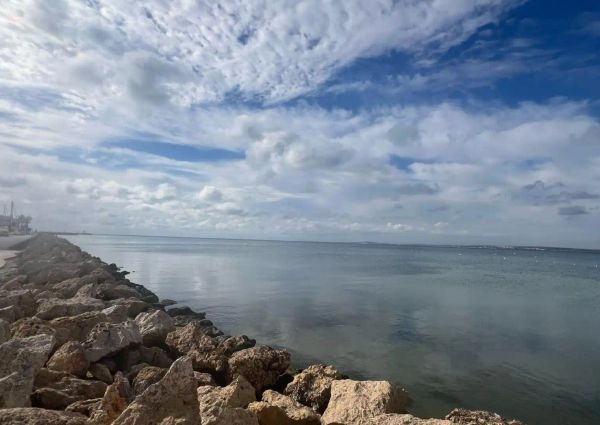 Piso de alquiler en Avinguda Vicente Blasco Ibañez, 31, Gran Playa