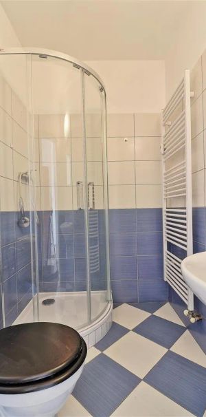 Pronájem podkrovního bytu 1+kk, po rekonstrukci, Zeyerova ul, Olomouc - Fotografie 1