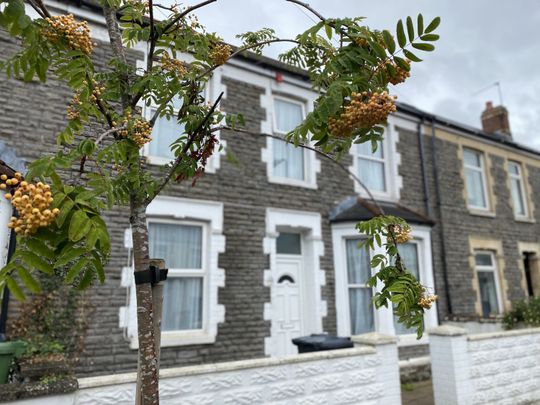 Llantrisant Street, Cathays - Photo 1