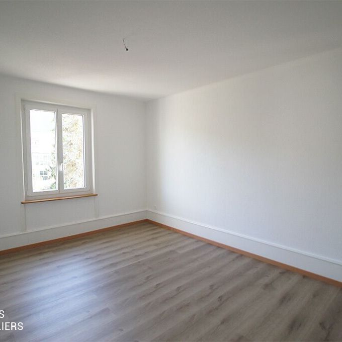 Completely renovated apartment - Photo 1