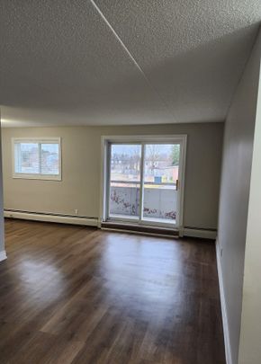 240 & 248 Steel Street, Barrie - Photo 1