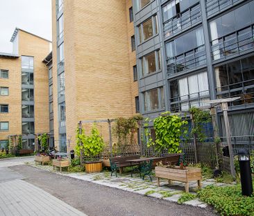 Hamngatan 41 A, 94162, Piteå - Foto 5