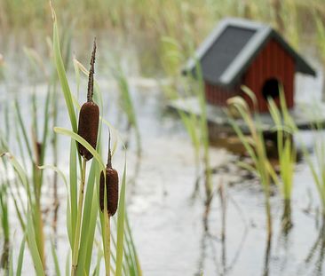 Rønnebærvænget, Skovby 799-0 - Foto 1