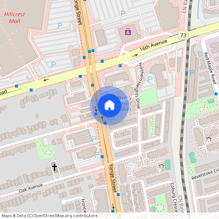 9191 yonge Street SW, Richmond Hill