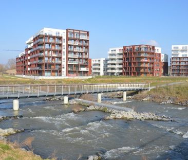 Gelijkvloers appartement op toplocatie langs de Leie! - Foto 3