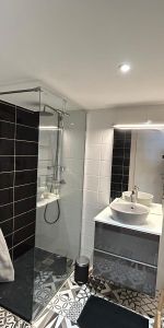 Location Appartement 1 pièce 24m² ST ETIENNE 42000 - Photo 4