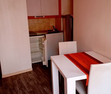 Location Appartement 1 pièce 21m² - Photo 4