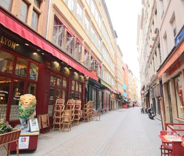 T2 Meublé- Presqu'ile - 40m2-Meublé- Disponible ! - Photo 2