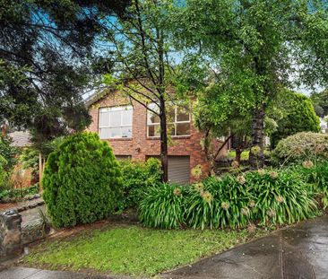 91 Dellfield Drive, Templestowe - Photo 4