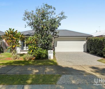 Exceptionally Presented 4-Bedroom Low Set Home in Coveted Capestone... - Photo 5