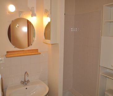 Location Appartement 1 pièce 21m² - Photo 6