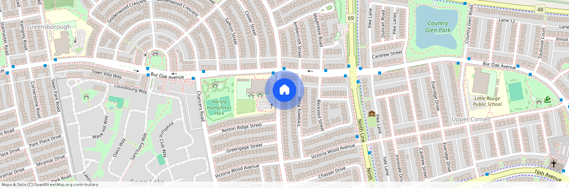 81 Alfred Paterson Drive, Markham