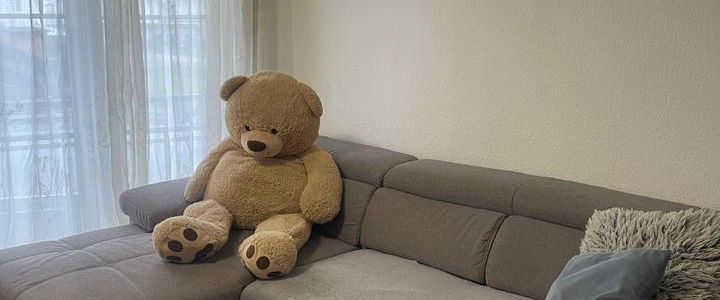 Schnuckelige 1-Zimmer-Wohnung zu vermieten - Photo 1