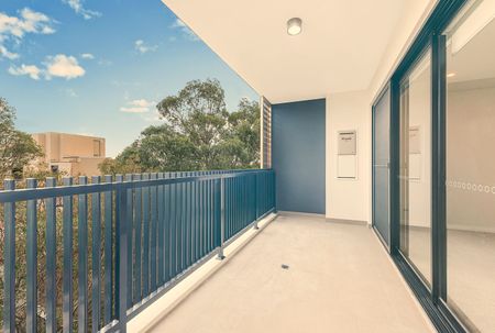 502/8-12 Murrell Street Ashfield - Photo 3