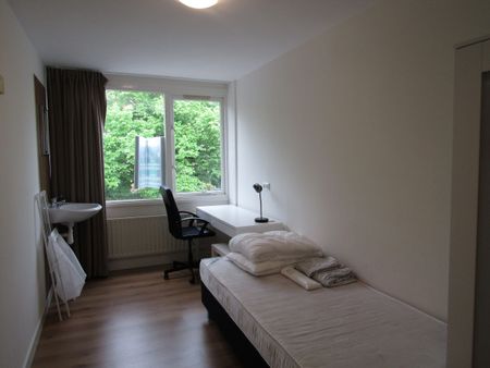 Te huur: Kamer Springerstraat in Eindhoven - Foto 3