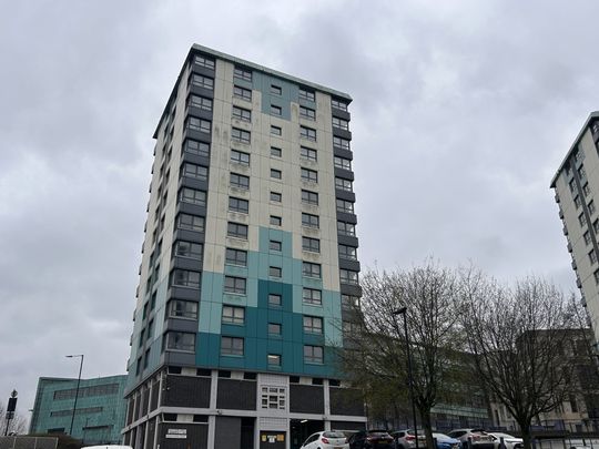 Brightmore Drive Sheffield S3 7NF - Photo 1