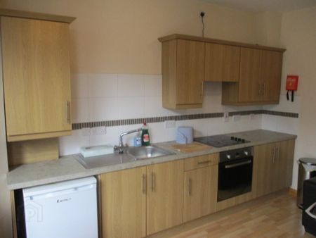 Great Apartment, 41a Agincourt Avenue, Queens University Quarter, Belfast, BT7 1QA - Photo 4