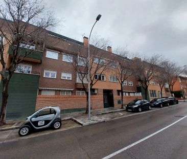 Piso de alquiler en Calle Bahía de Alicante, 92, Corralejos - Campo... - Photo 4