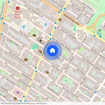 1255 Rue Plessis, Ville-Marie, Ville-Marie, Ile de Montréal, H2L 2J1