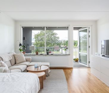 Växthusvägen, Bro - Photo 5