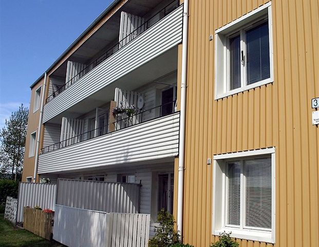 Ilsbo, Gävleborg, Nordanstig - Photo 1