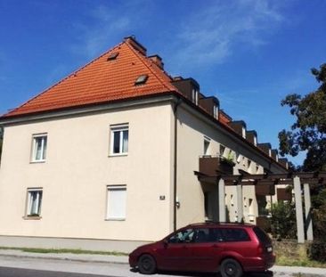 2-Zimmer Genossenschaftswohnung Wohnung im Erdgeschoß - Photo 3